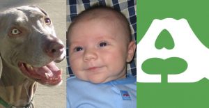 Dogs, Babies, and Choosing Type