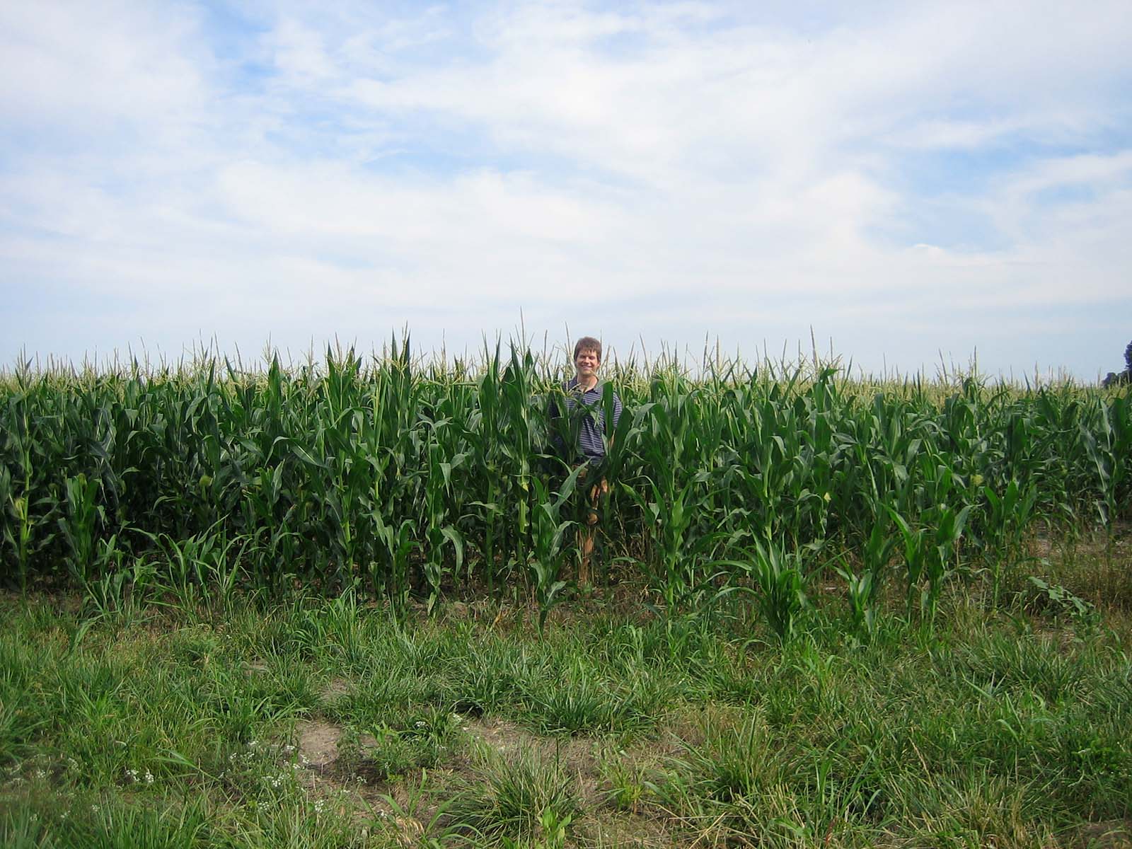 me standing in a cornfield