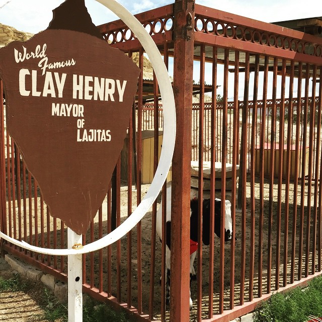 Clay Henry is back in office in Lajitas! Sadly, I did not bring a beer for Mr. Mayor.