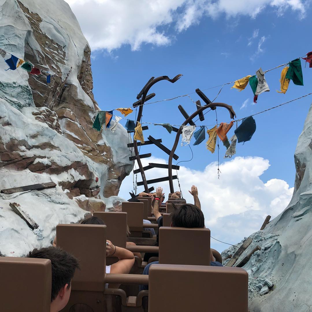 Story and design details meet at the top of Expedition Everest.