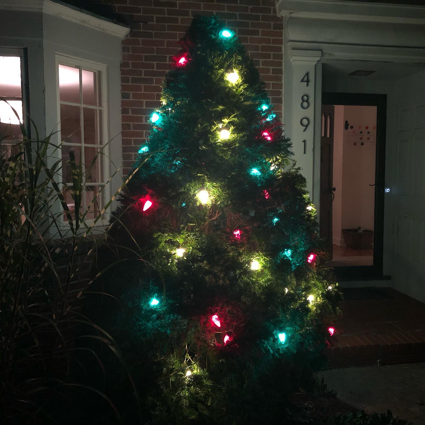In 2019, the Cheatham Christmas lights will be LED to improve energy efficiency. We’re testing the prototype tonight!