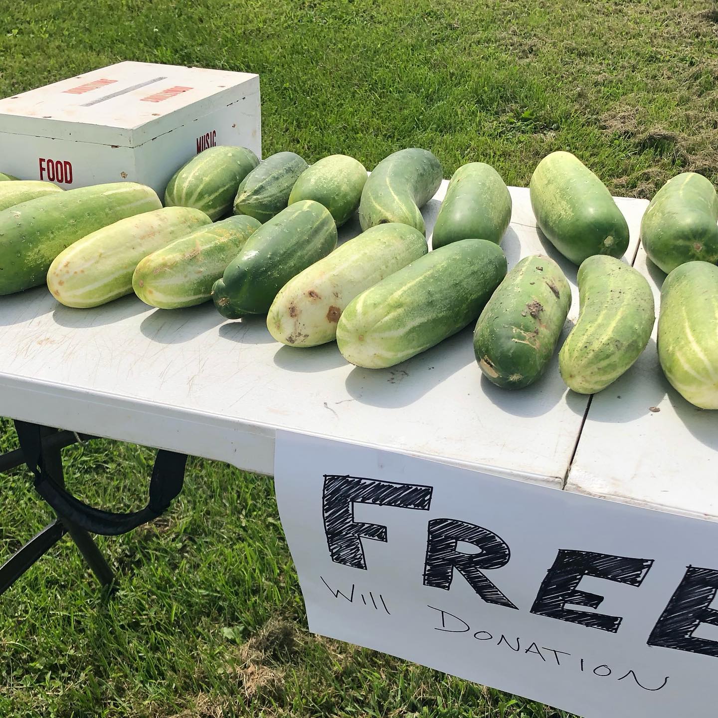 Roadside cucumbers: a postcard from the country.