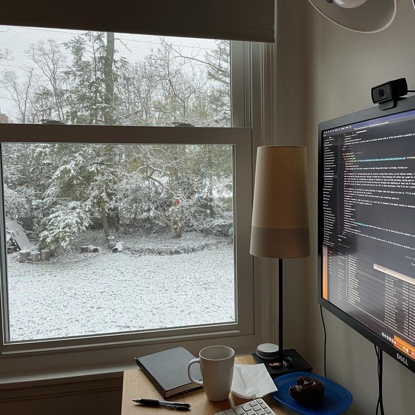 Work from home—winter edition.