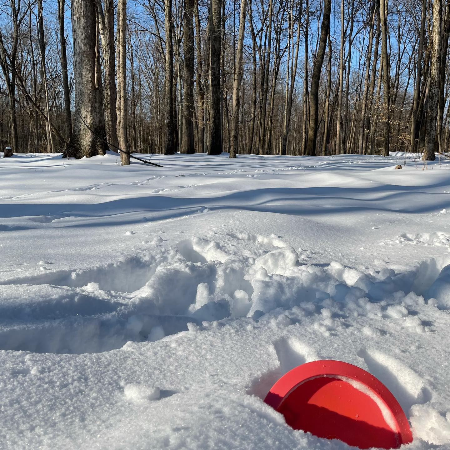 9” of snow? Let’s play disc golf.