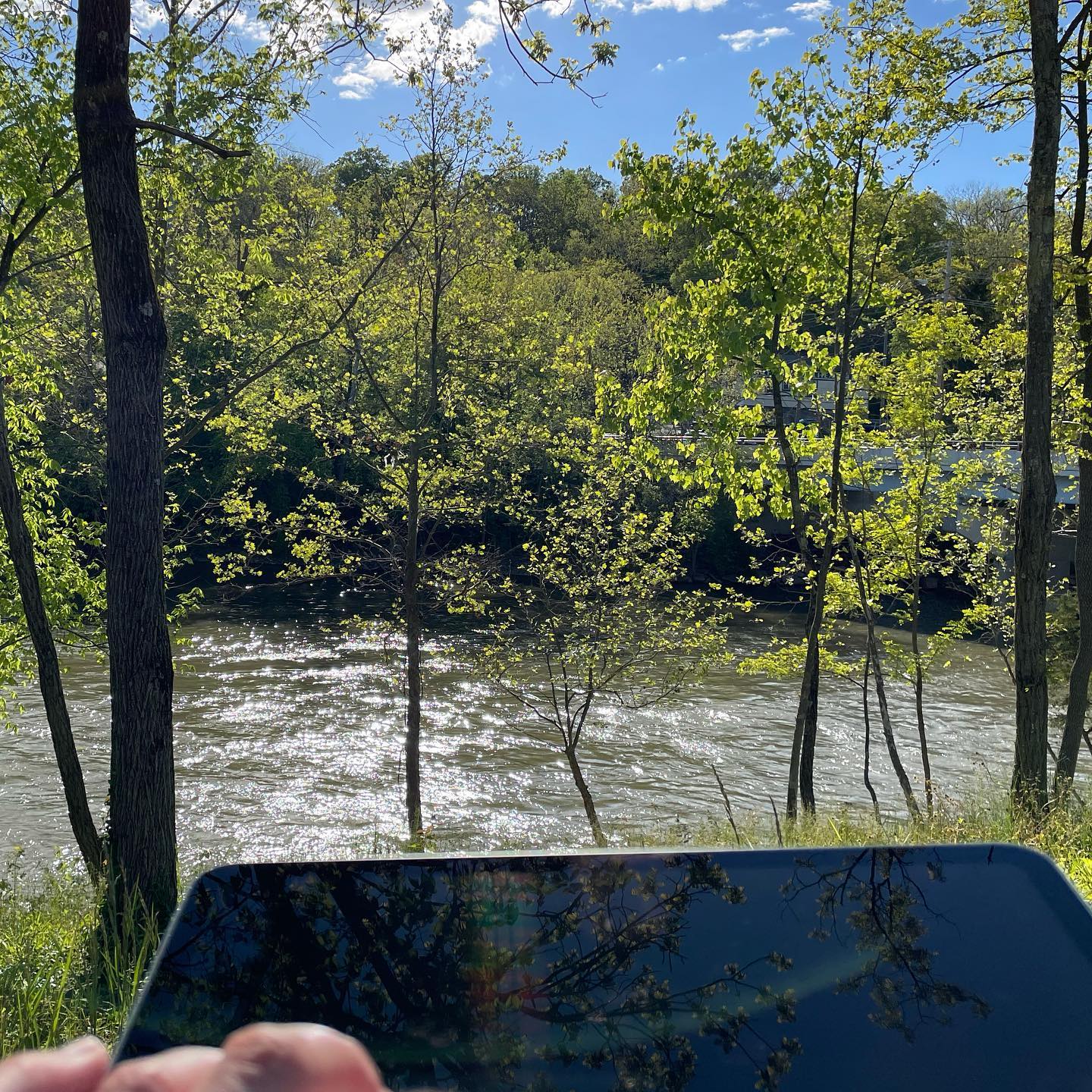 Writing my book beside the Little Miami River (with an IPA). Fly fingers, fly!