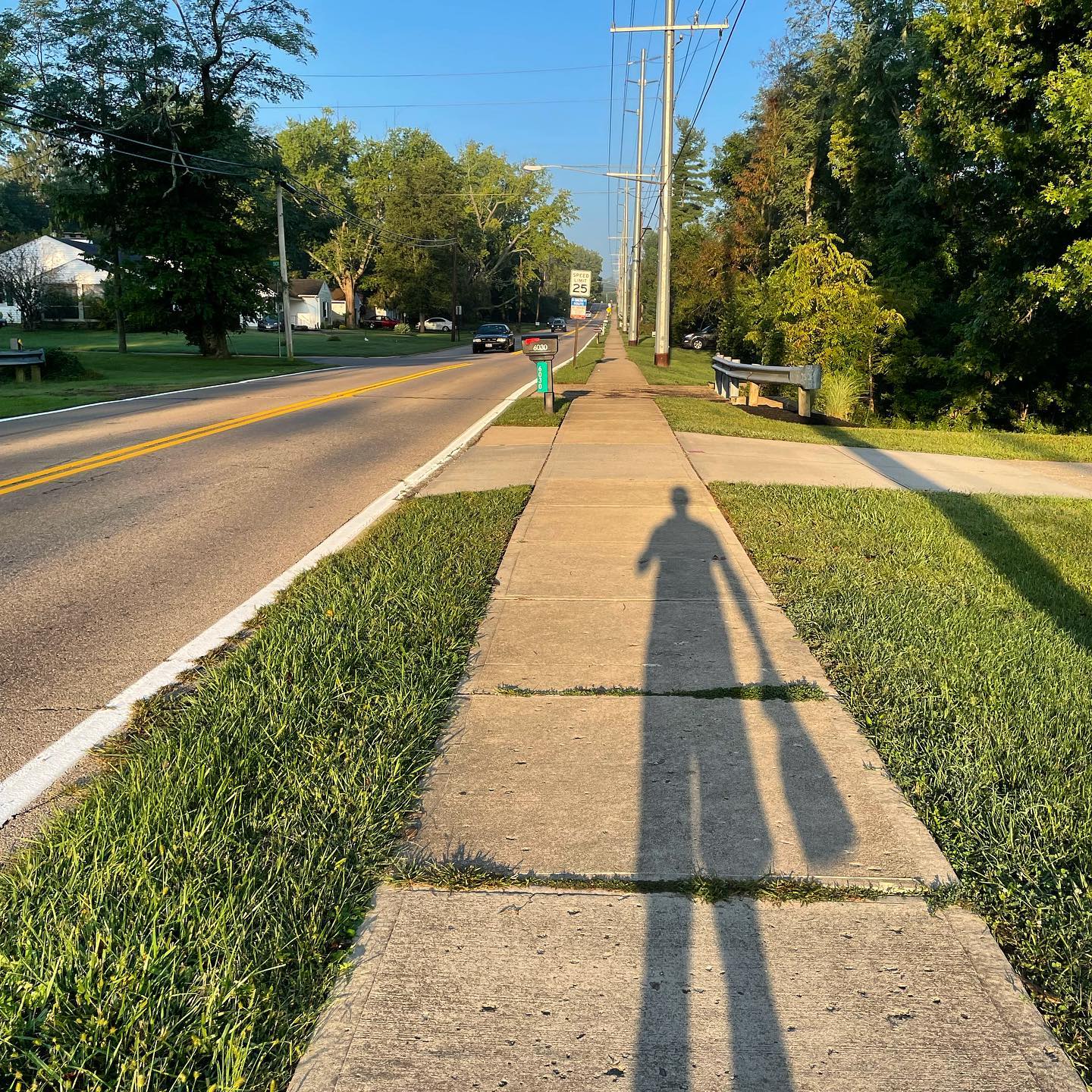 Morning. Tall shadow. Taller hopes.