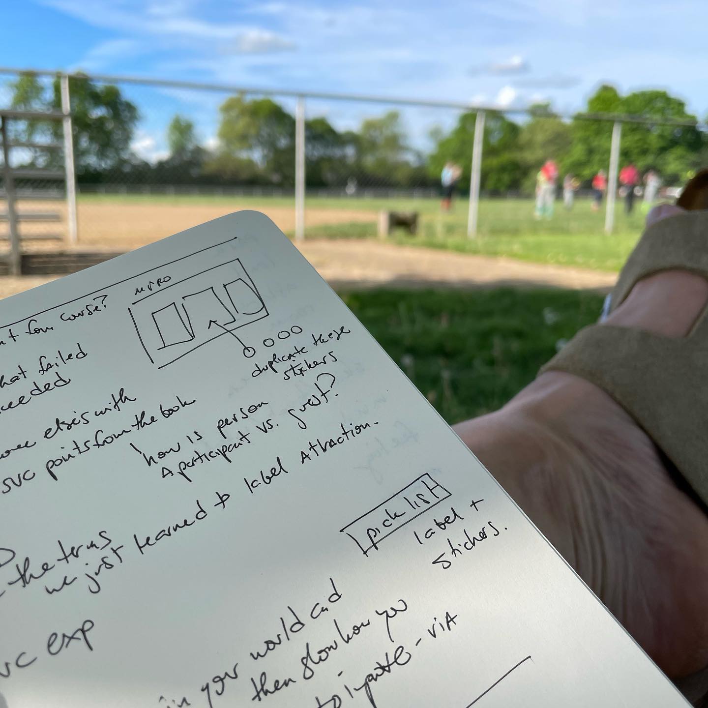 Birks. Course planning. Softball. Summer.