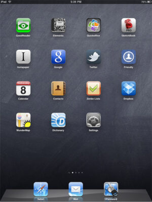 iPad is my Grad School Friend