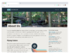 website mockup