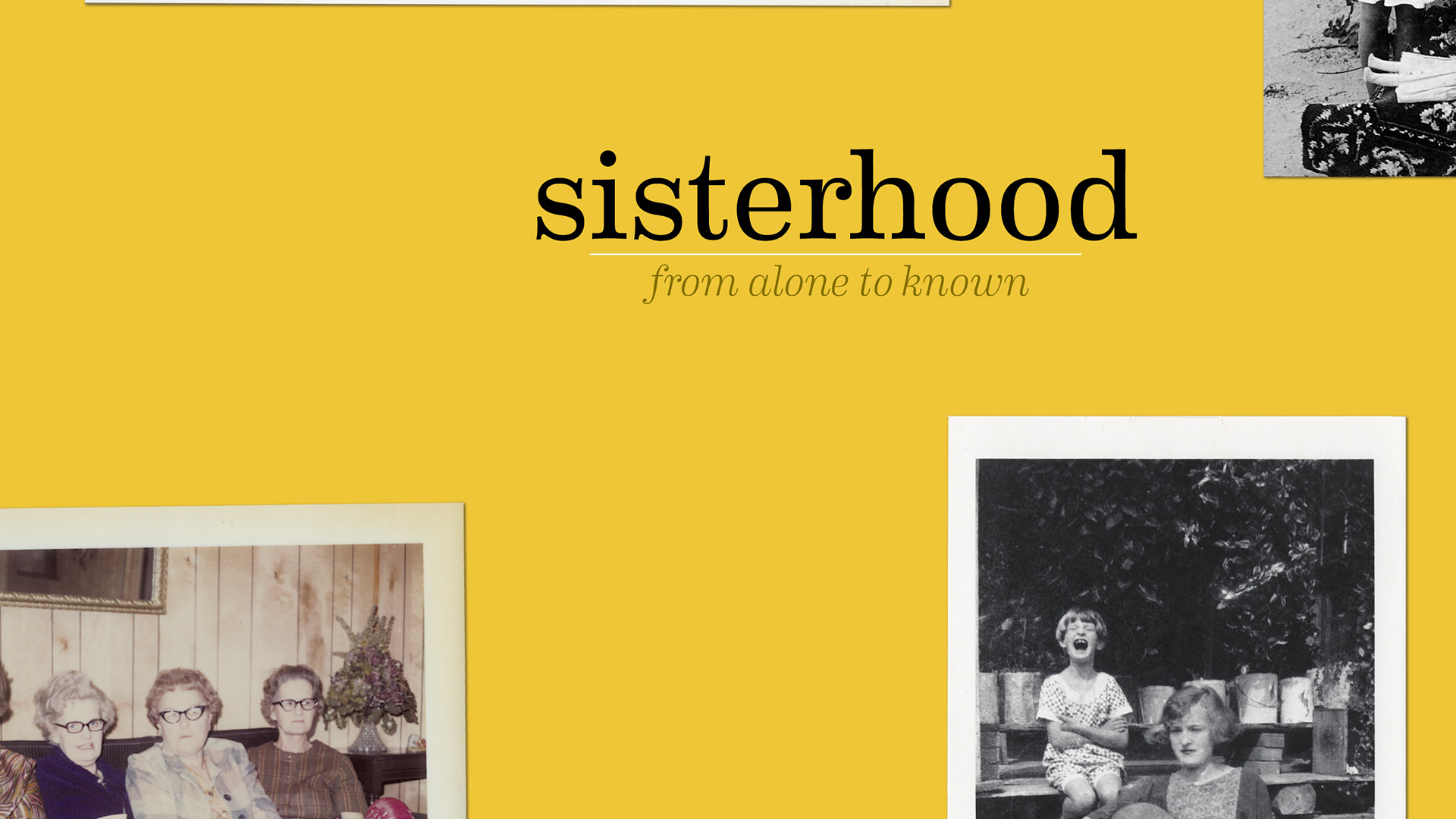 Sisterhood Bible Study Guide